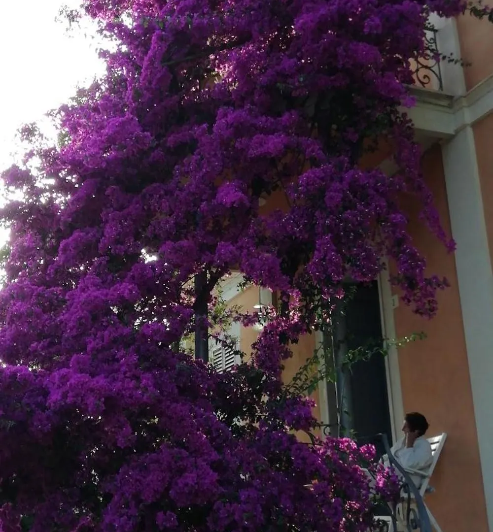 La Casa Dei Paggi Bed & Breakfast Sestri Levante Italy