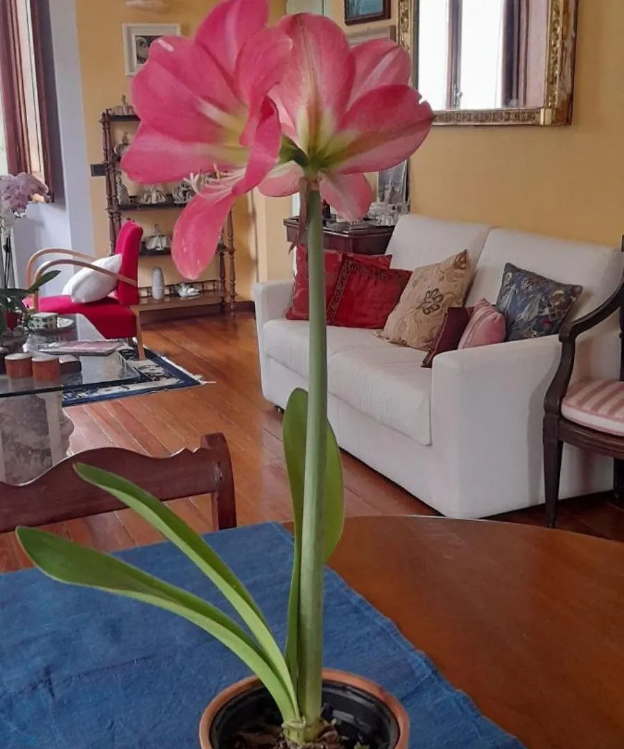 La Casa Dei Paggi Bed & Breakfast Sestri Levante