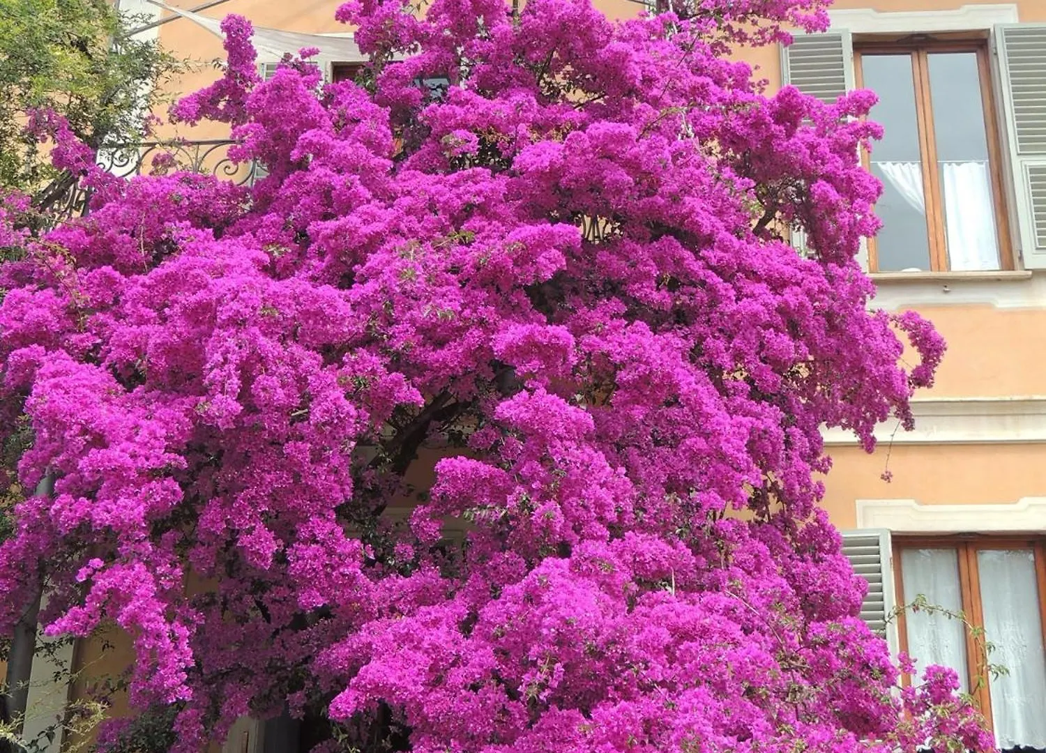 La Casa Dei Paggi Bed & Breakfast Sestri Levante
